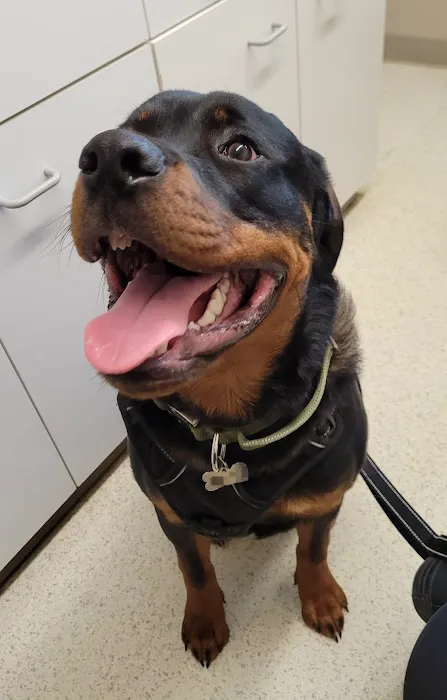 Massanutten Animal Clinic 12
