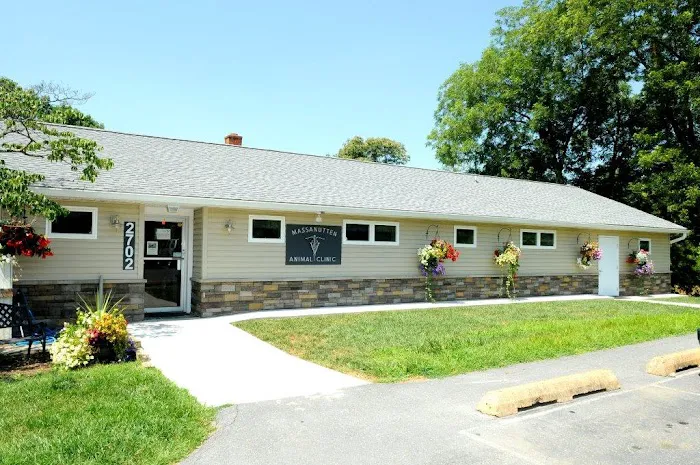 Massanutten Animal Clinic 12