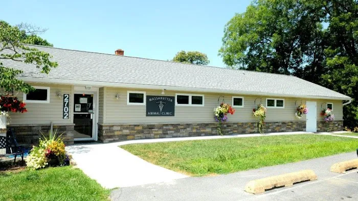 Massanutten Animal Clinic 12