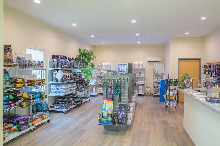 South Branch Animal Hospital 12
