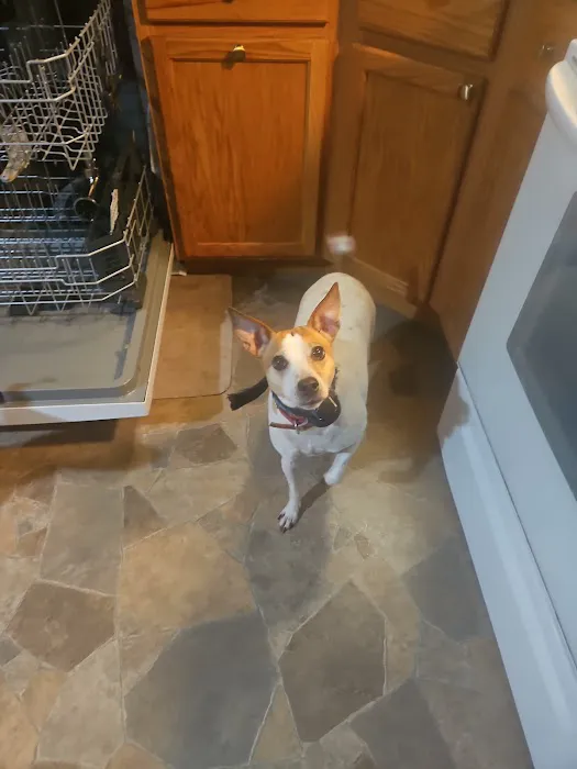 South Branch Animal Hospital 12