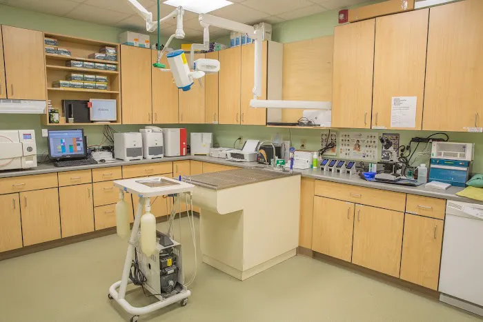 South Branch Animal Hospital 12