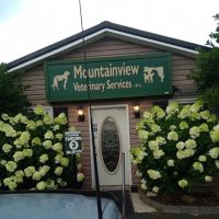 Mountainview Veterinary Services ico