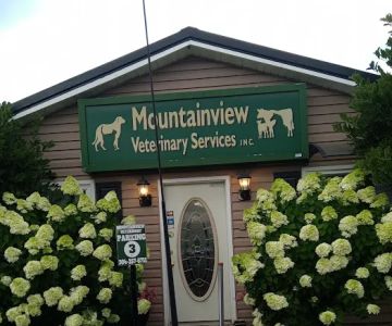 Mountainview Veterinary Services