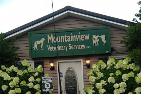 Mountainview Veterinary Services
