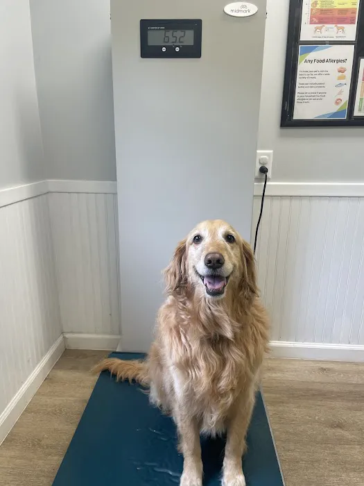 Earlysville Animal Hospital 12