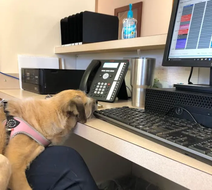 Earlysville Animal Hospital 12