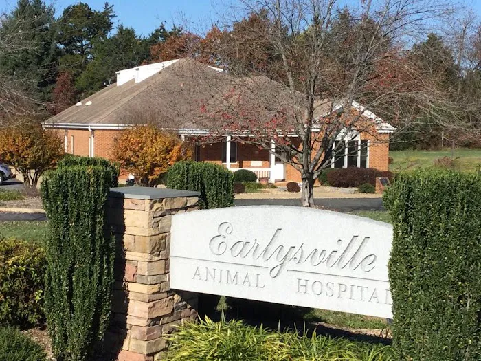 Earlysville Animal Hospital 12