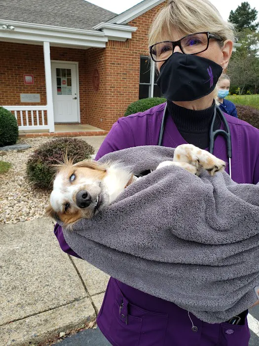 Earlysville Animal Hospital 12