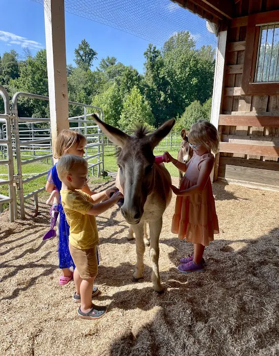 Blue Ridge Equine Clinic 4