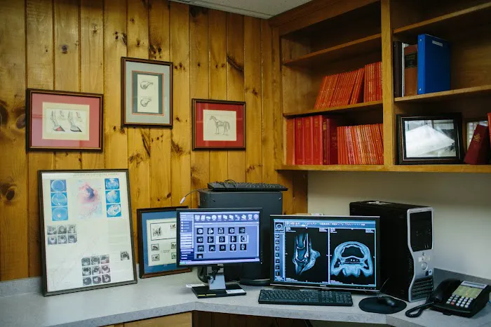 Blue Ridge Equine Clinic 8