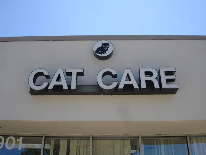 Charlottesville Cat Care Clinic 4