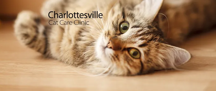 Charlottesville Cat Care Clinic 8