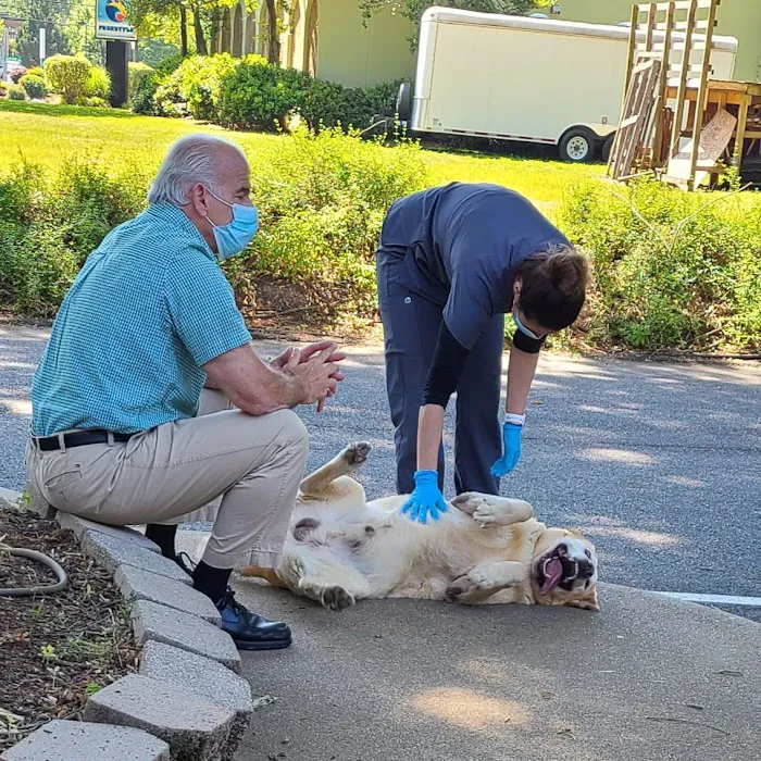VCA Albemarle Veterinary Health Care Center 12