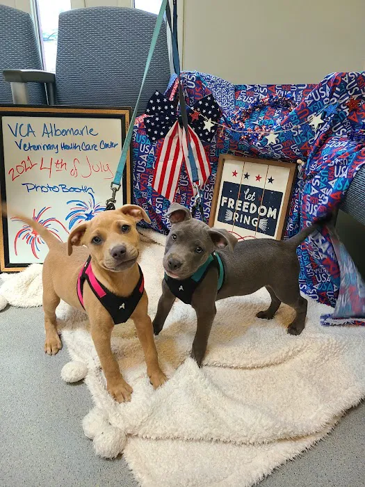 VCA Albemarle Veterinary Health Care Center 12
