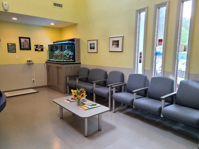VCA Albemarle Veterinary Health Care Center 12