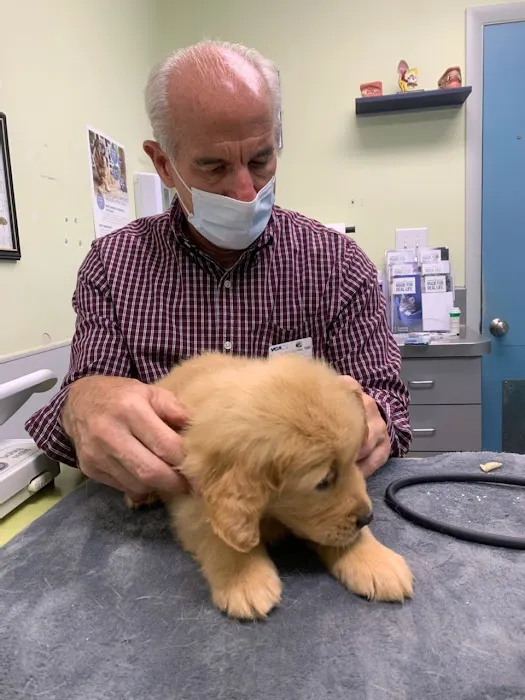 VCA Albemarle Veterinary Health Care Center 12