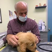 VCA Albemarle Veterinary Health Care Center ico