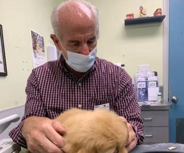VCA Albemarle Veterinary Health Care Center