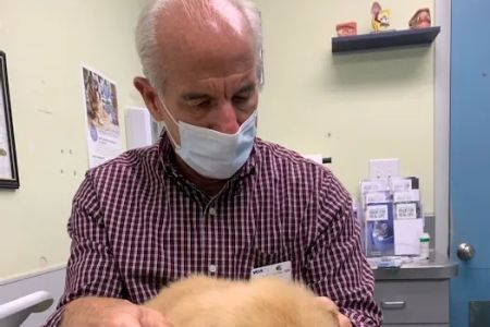 VCA Albemarle Veterinary Health Care Center