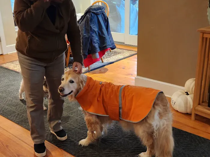Virginia Veterinary Specialists 12