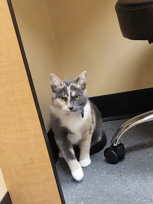 Virginia Veterinary Specialists 12