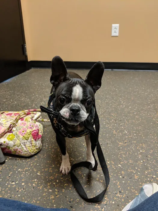 Virginia Veterinary Specialists 12