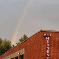 Greenbrier Emergency Animal Hospital ico