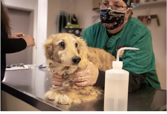 Autumn Trails Veterinary Center 12