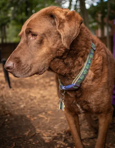 Autumn Trails Veterinary Center 12