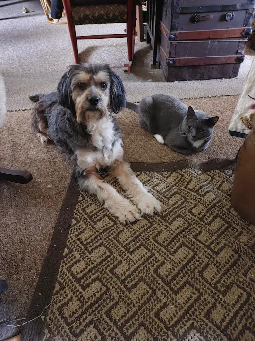 Piedmont Veterinary Service 9