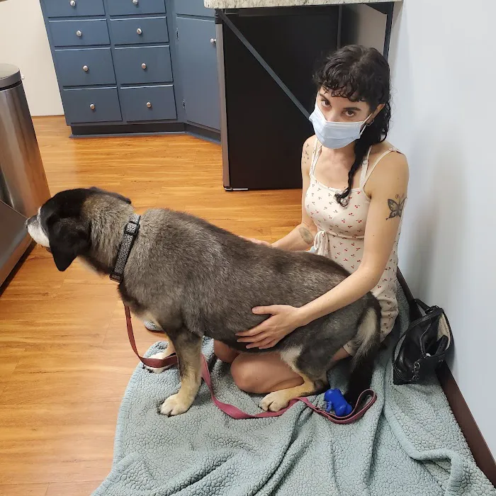 Georgetown Veterinary Hospital 12