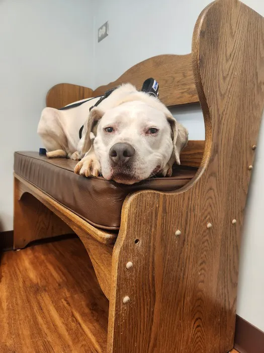 Georgetown Veterinary Hospital 12