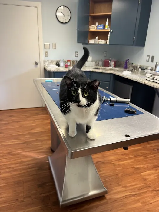 Georgetown Veterinary Hospital 12