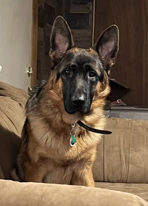 Mill Creek Animal Hospital 12