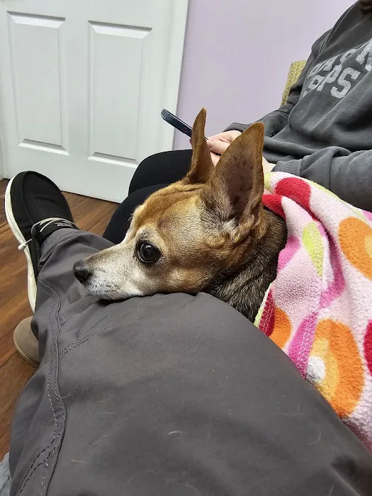 Pets On The Shore Veterinary Hospital 6