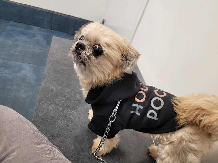 Bayside Animal Hospital 4