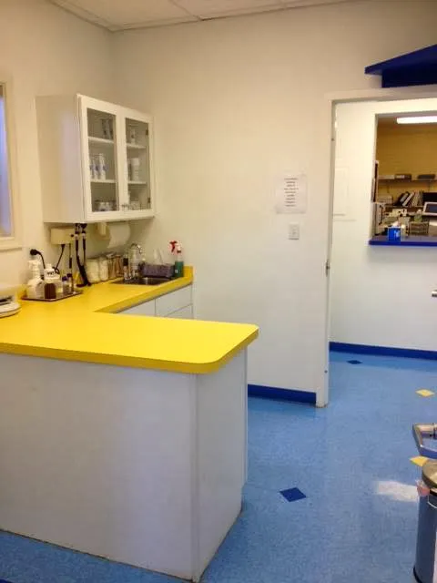 Bayside Animal Hospital 3