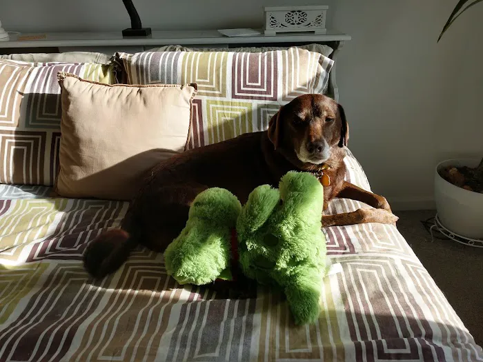 Bayside Animal Hospital 2