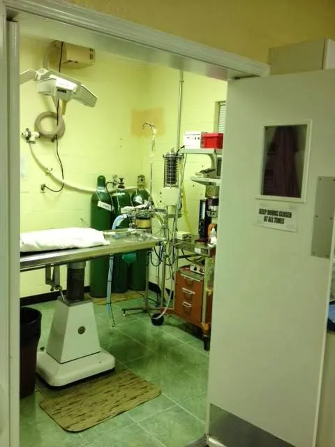 Bayside Animal Hospital 8