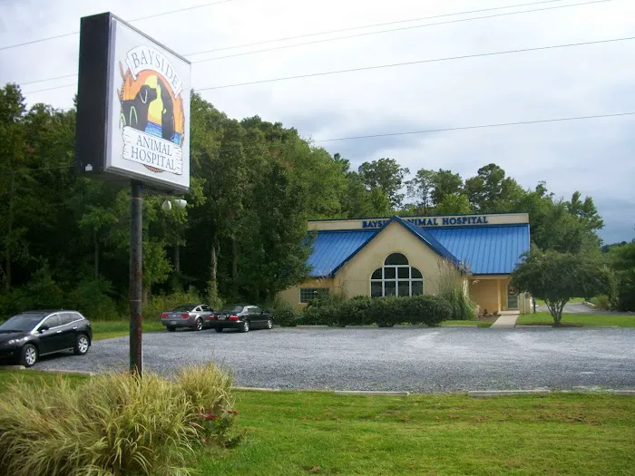 Bayside Animal Hospital 10