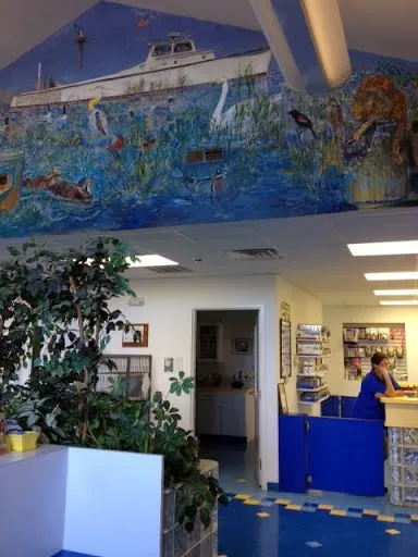 Bayside Animal Hospital 9