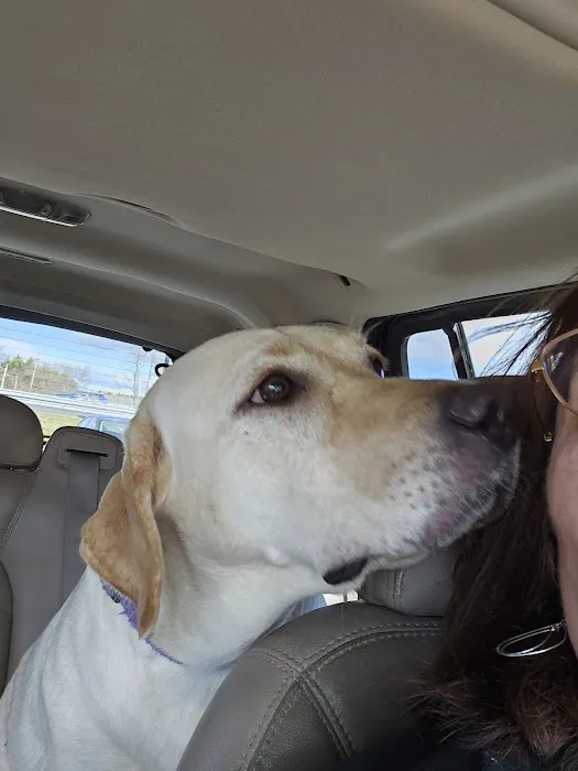 Bayside Animal Hospital 7