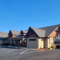 VCA Choptank Animal Hospital ico