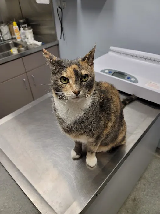 Fort Eustis Veterinary Treatment Facility 7