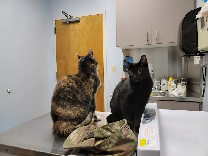 Fort Eustis Veterinary Treatment Facility 6