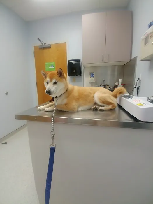 Fort Eustis Veterinary Treatment Facility 10