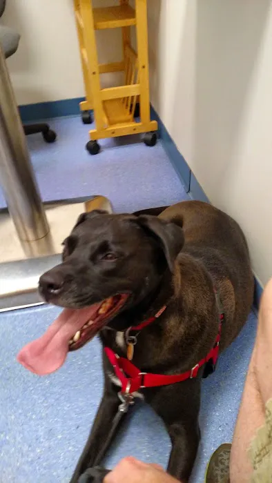 Church Hill Animal Hospital 4