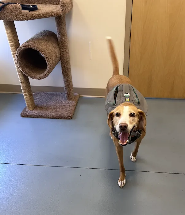 Kinship Animal Hospital 7