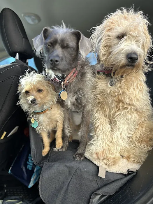Kinship Animal Hospital 8